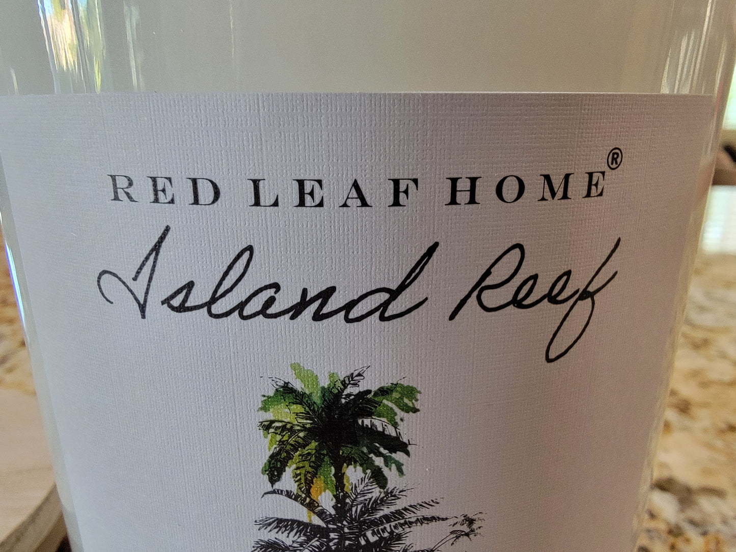 Red Leaf Home Island Reef Scented Candle, 3 wicks (Pineapple Guava Coconut) 11 Oz - Avenue Treasures