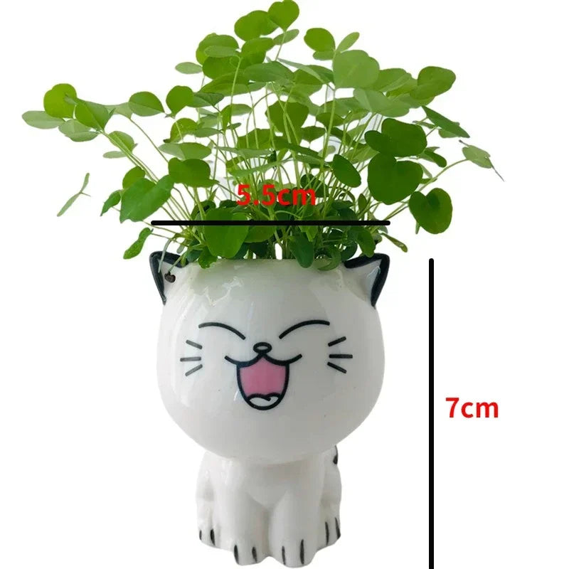 Cute Mini Cat Cartoon Ceramic Flowerpots - for Plants - Avenue Treasures
