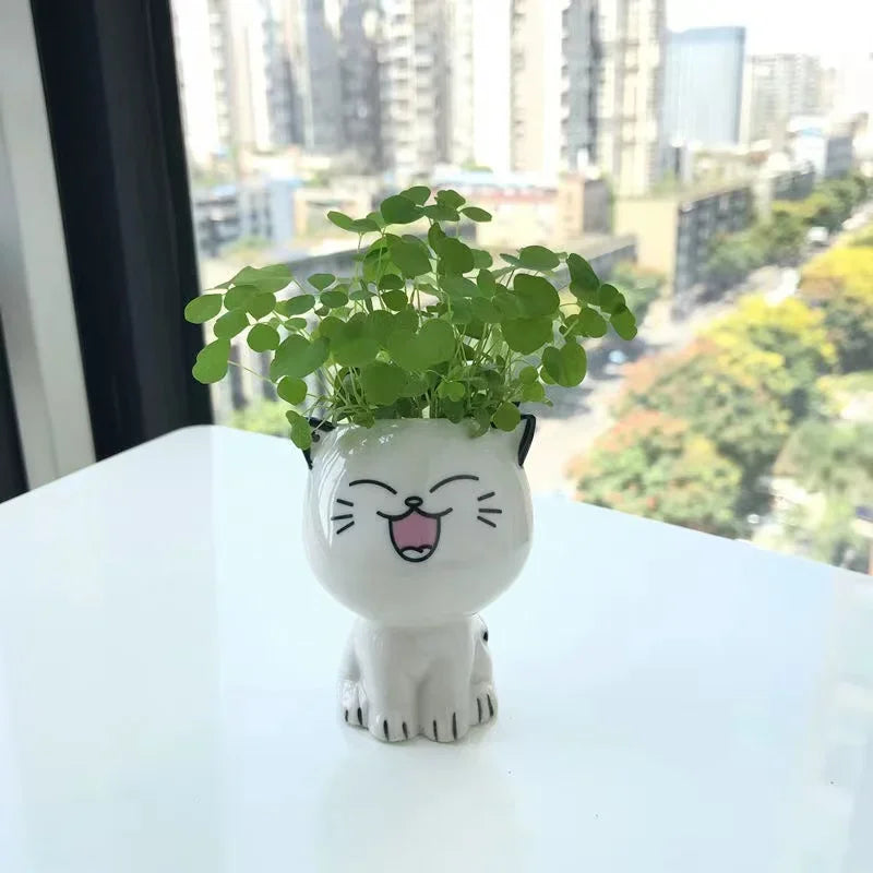 Cute Mini Cat Cartoon Ceramic Flowerpots - for Plants - Avenue Treasures